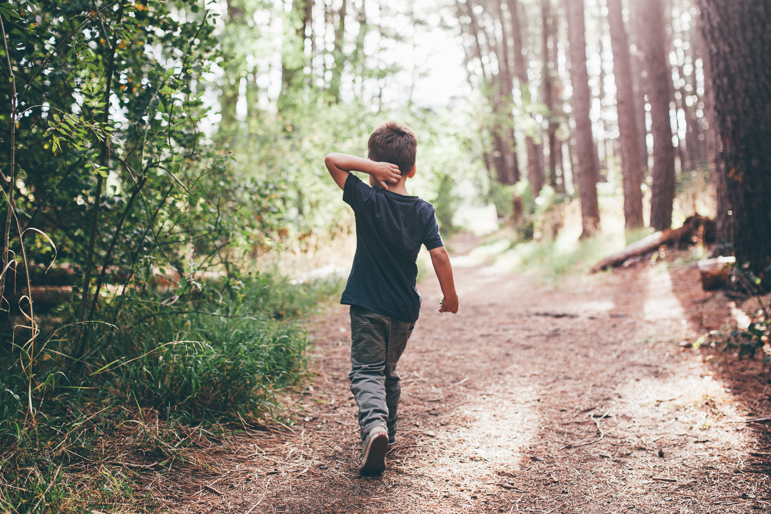 Boy walking through forest