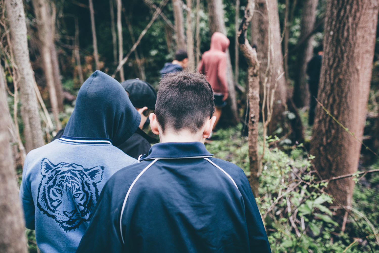 Young people walk through a forest